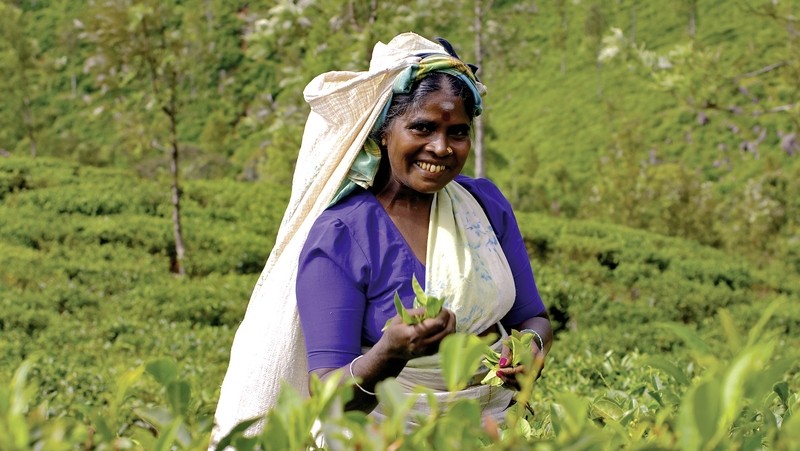 Sri Lanka hautnah erleben