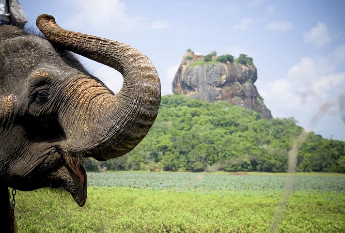 Sri Lanka hautnah erleben (Privatreise) - Sigiriya