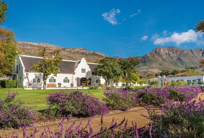 Steenberg Hotel & Spa - Steenberg Hotel