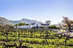 Steenberg Hotel & Spa