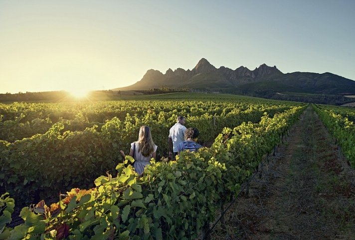 Cape in Style ab/bis Kapstadt - Winelands