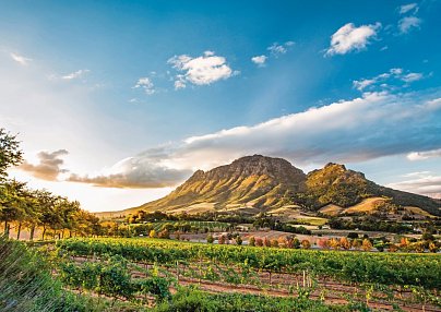 Kap Sinfonie - Kleingruppenreise Kapstadt