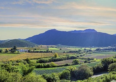 Wellness, Wein & wilde Tiere Kapstadt