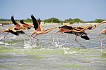 Yucatán Highlights