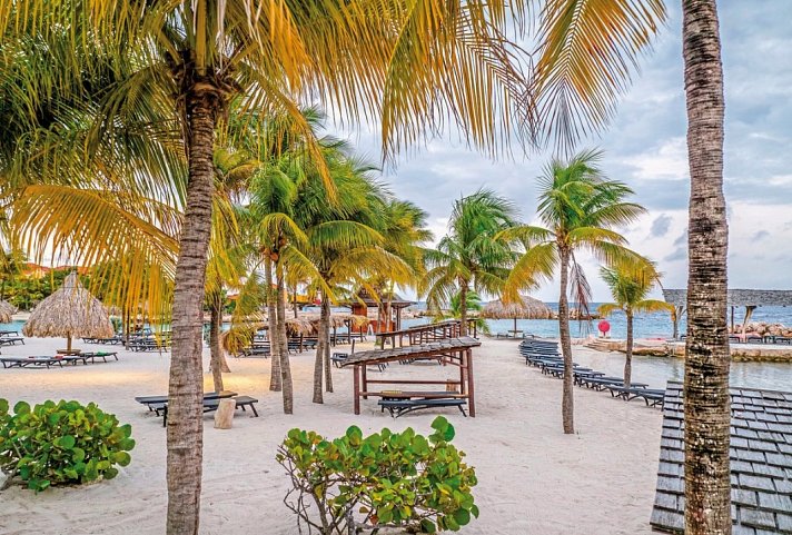 LionsDive Beach Resort