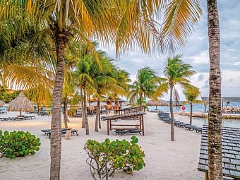LionsDive Beach Resort