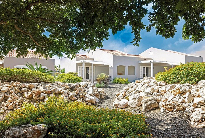 Coral Estate Luxury Resort