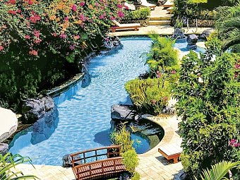 Poppies Bali