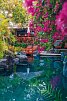 Poppies Bali