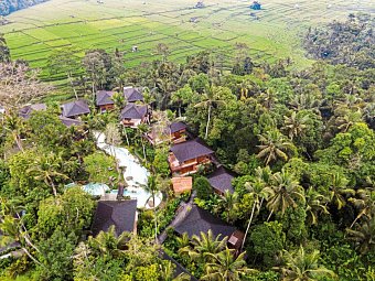 Kappa Senses Ubud