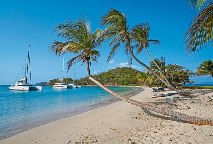 Grenadinen Explorer - Tobago Cays