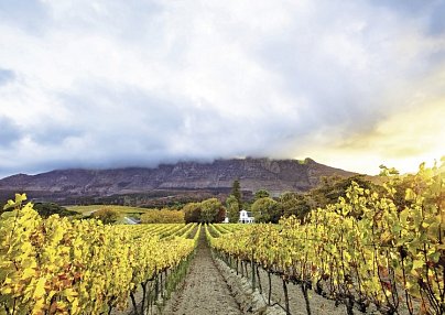 Südafrika à la carte - Kleingruppenreise Johannesburg