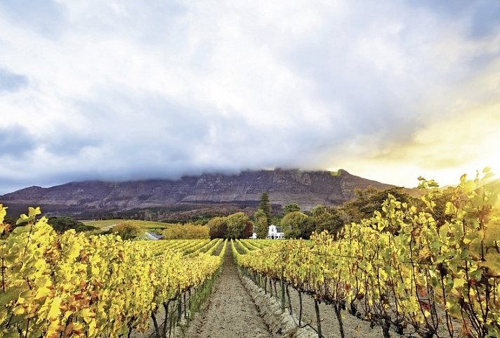 Südafrika à la carte - Kleingruppenreise - Winelands