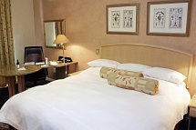 Protea Hotel Johannesburg Balalaika Sandton