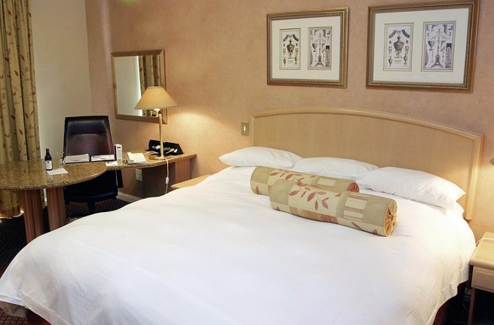 Protea Hotel Johannesburg Balalaika Sandton