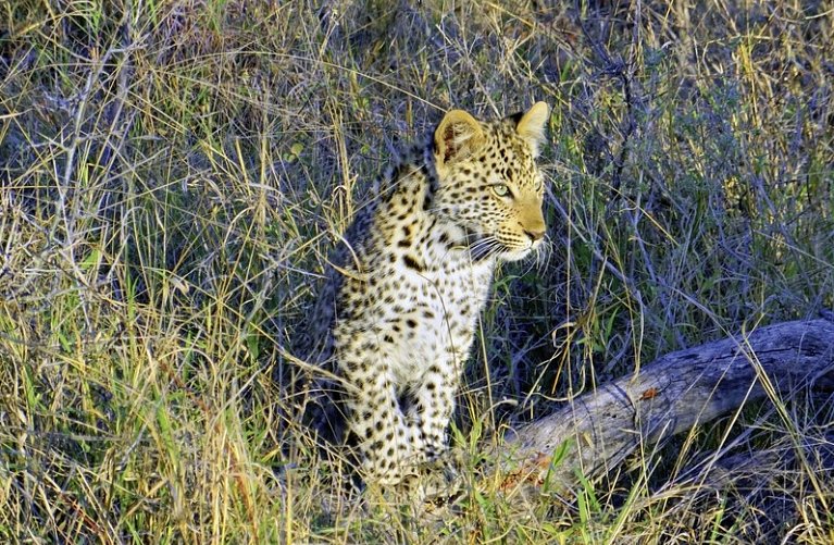 Höhepunkte Mpumalangas