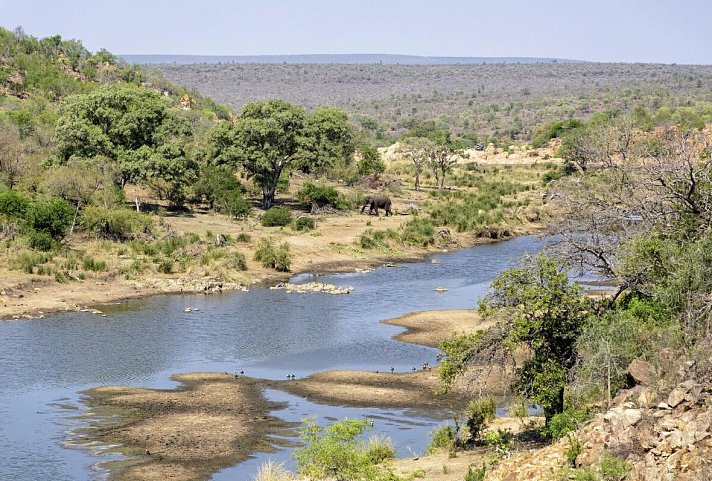 Best of South Africa (Privatreise) Johannesburg - Kapstadt - Krüger Nationalpark