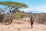 Kultur und Safari