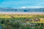 Kultur und Safari