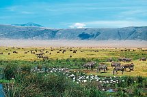 Kultur und Safari - Ngorongoro Krater