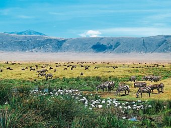 Kultur und Safari - Ngorongoro Krater