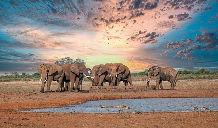 Kultur und Safari