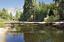 Western Experience - Yosemite NP