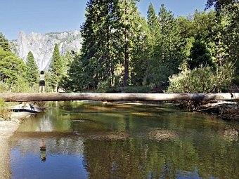 Western Experience - Yosemite NP