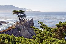 Western Experience - 17-Mile-Drive
