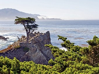 Western Experience - 17-Mile-Drive