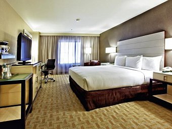 Hilton Los Angeles Airport - Wohnbeispiel Standard 1 King (Zimmercodierungen UG1 & UG6)