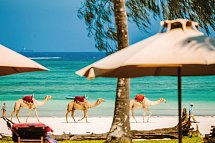 Nomad Beach Resort