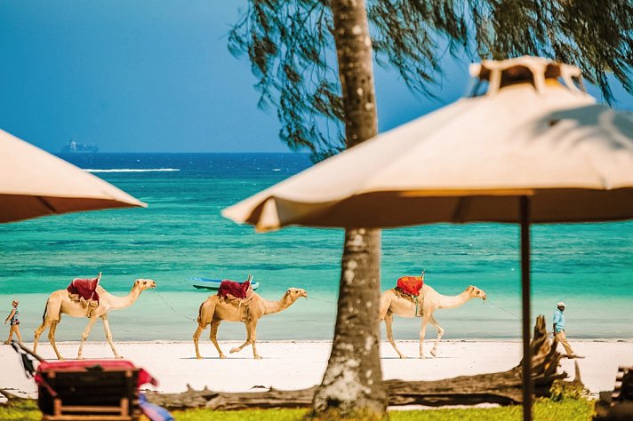 Nomad Beach Resort