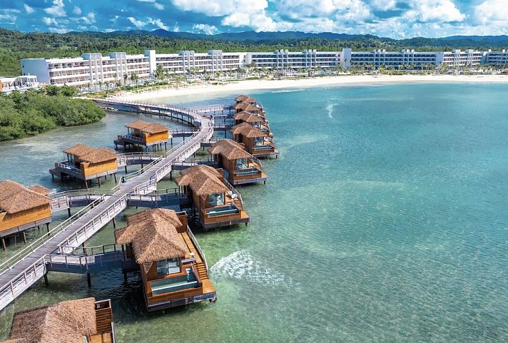 Princess Senses the Mangrove