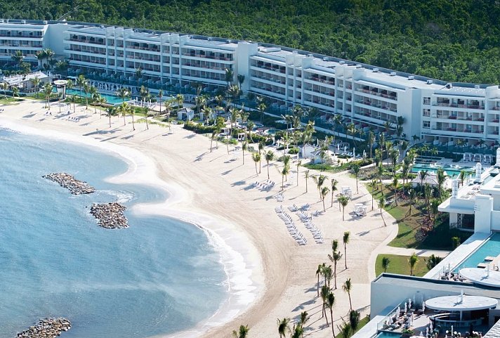 Princess Senses the Mangrove