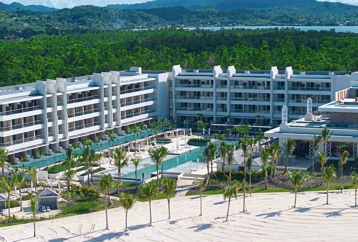 Princess Senses the Mangrove