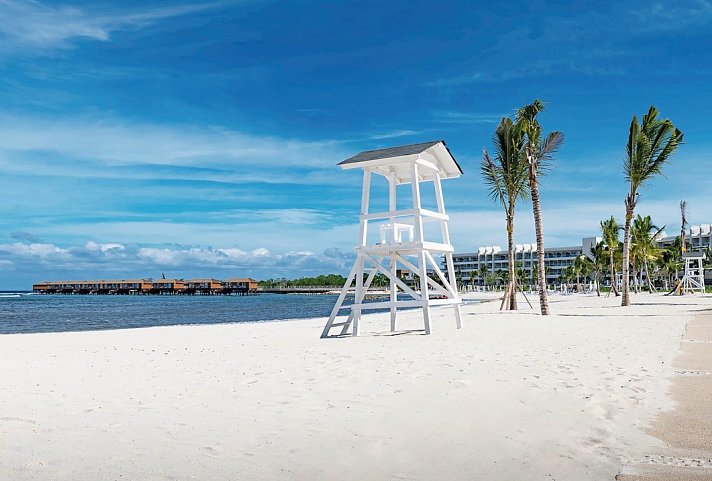 Princess Senses the Mangrove
