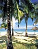Couples Swept Away