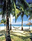 Couples Swept Away