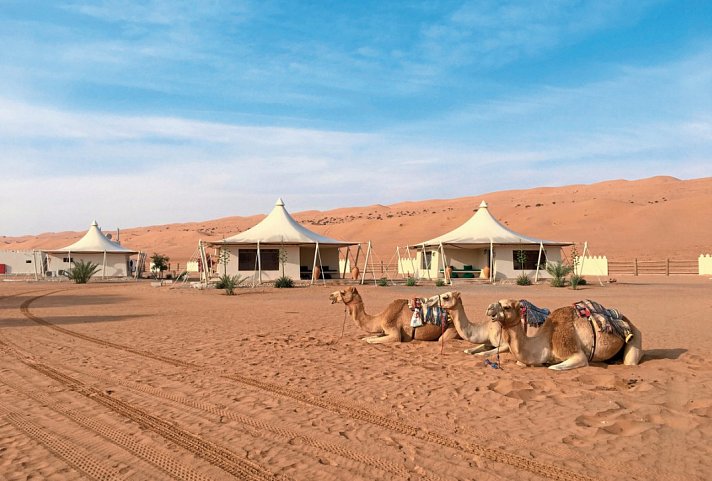 Desert Nights Resort