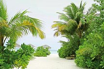 Drift Thelu Veliga Retreat