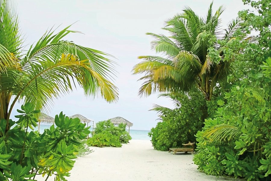 Drift Thelu Veliga Retreat