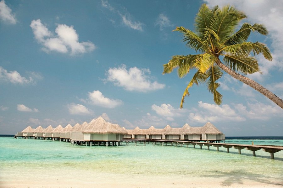 Drift Thelu Veliga Retreat