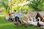 Fusion Resort Cam Ranh