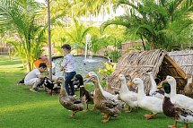 Fusion Resort Cam Ranh