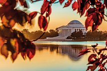 Best of New York City mit Washington DC - Washington DC, Jefferson Memorial