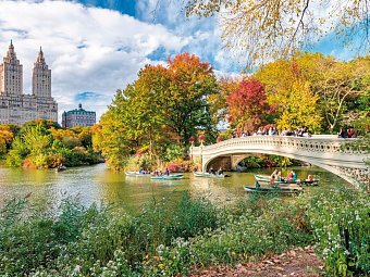 Best of New York City mit Washington DC - Central Park