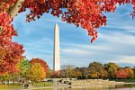 Best of New York City mit Washington DC