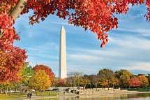 Best of New York City mit Washington DC - Washington Monument