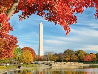 Best of New York City mit Washington DC - Washington Monument